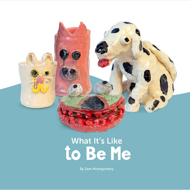 Cover of What It’s Like to Be Me by Sam Montgomery, featuring his ceramic characters